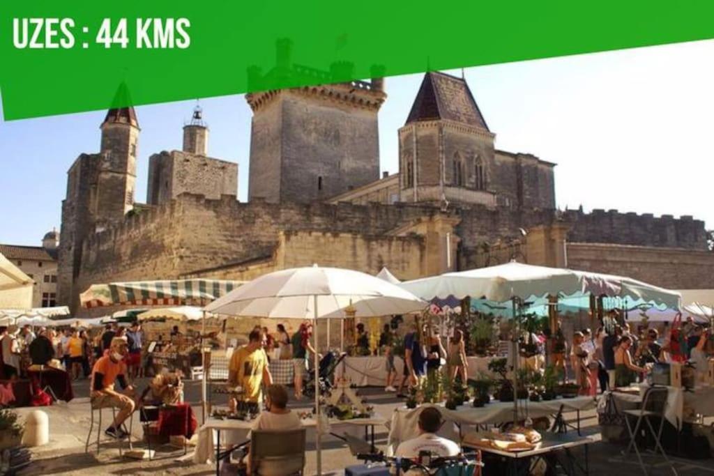 La Terrasse Des Carmes - Terrasse - Ac Clim - Spacieux Avignon Eksteriør billede